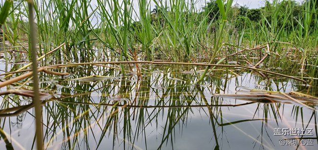 【Galaxy S10系列星粉體驗(yàn)活動(dòng)】三星S10e的豐富多彩