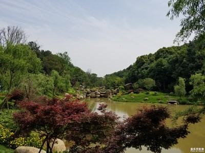 【走四方】+屈子祠