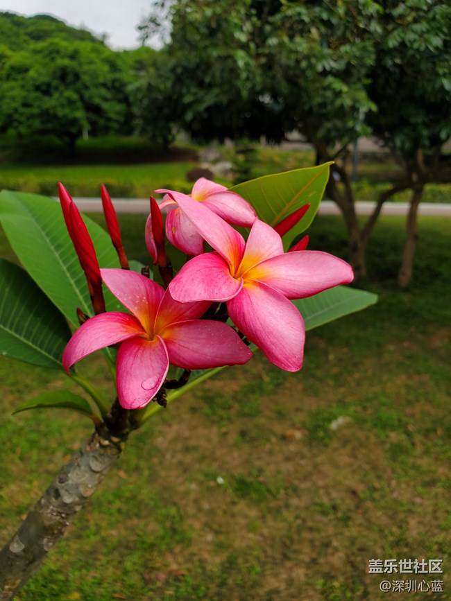 【Galaxy S10系列星粉體驗(yàn)活動(dòng)】三星S10e的豐富多彩