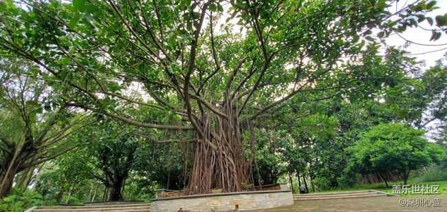 【Galaxy S10系列星粉體驗(yàn)活動(dòng)】三星S10e的豐富多彩