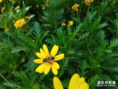 今天是5月12號(hào)