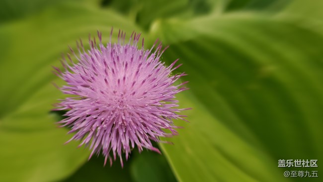 【Galaxy S10系列星粉體驗(yàn)活動(dòng)】用創(chuàng)新打造經(jīng)典