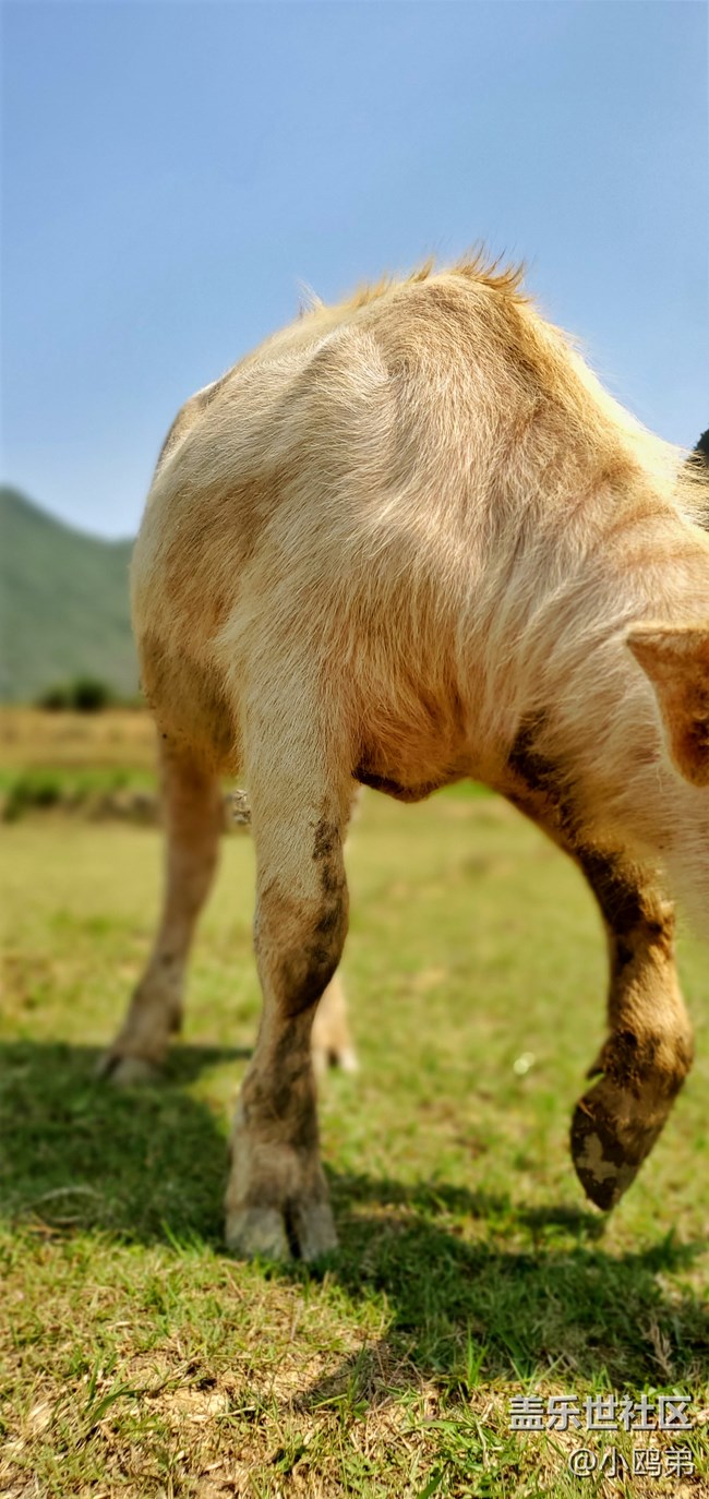 【Galaxy S10系列星粉體驗(yàn)活動】每一代，都是一個“十”代