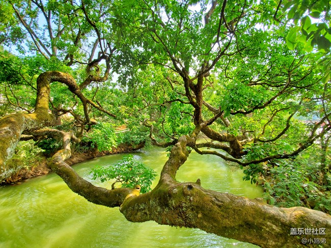 【Galaxy S10系列星粉體驗(yàn)活動】每一代，都是一個“十”代