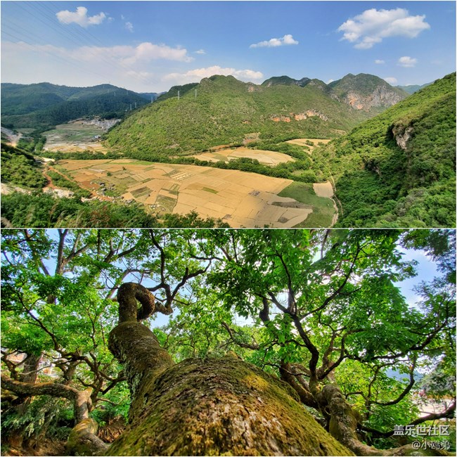 【Galaxy S10系列星粉體驗(yàn)活動】每一代，都是一個“十”代