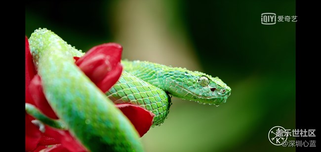 【Galaxy S10系列星粉體驗(yàn)活動(dòng)】三星S10e的豐富多彩