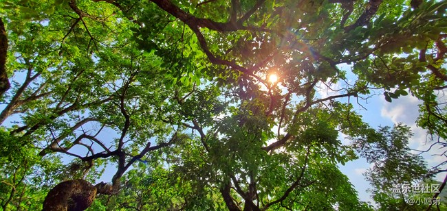 【Galaxy S10系列星粉體驗(yàn)活動】每一代，都是一個“十”代