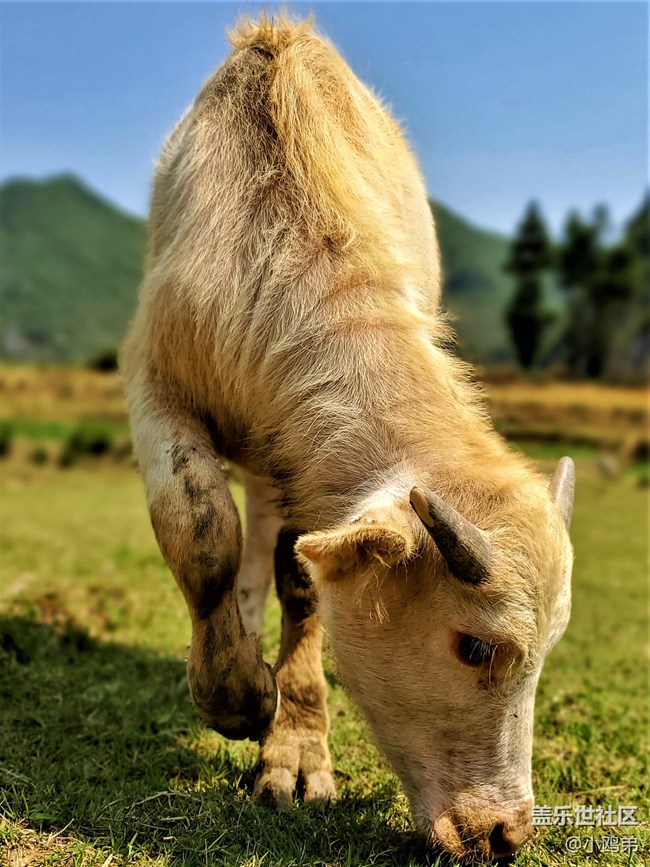 【Galaxy S10系列星粉體驗(yàn)活動】每一代，都是一個“十”代