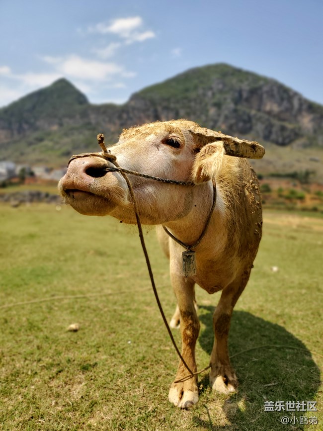 【Galaxy S10系列星粉體驗(yàn)活動】每一代，都是一個“十”代
