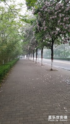 美麗的夏天