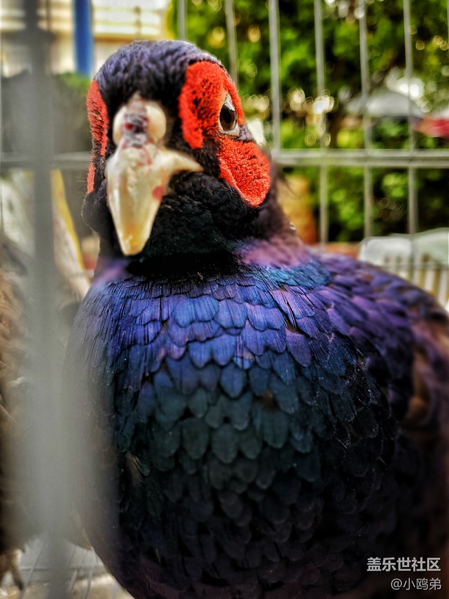 【Galaxy S10系列星粉體驗(yàn)活動】每一代，都是一個“十”代