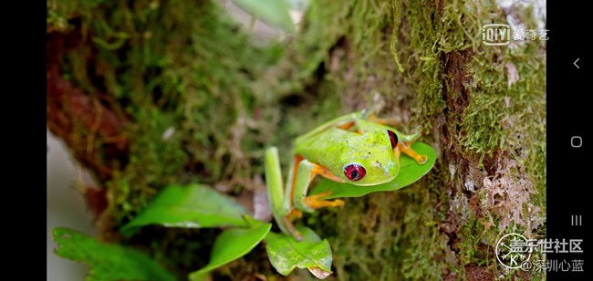 【Galaxy S10系列星粉體驗(yàn)活動(dòng)】三星S10e的豐富多彩