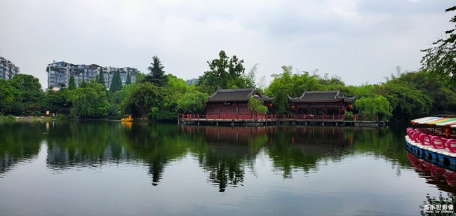 【每周精帖匯148】520如何向心儀的Ta表白呢？