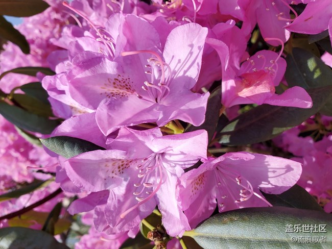 【Galaxy S10系列星粉體驗(yàn)活動(dòng)】一部舒舒服服的手機(jī) 【Galaxy S10系列星粉體驗(yàn)活動(dòng)】一部舒舒服服的手機(jī)