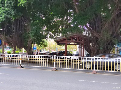 【初夏印象】+ 雙拋橋