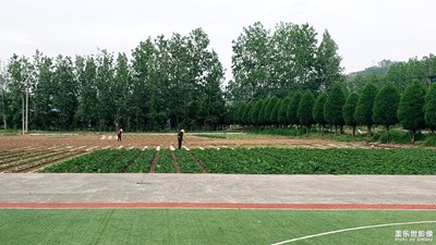 【初夏印象】在那遙遠(yuǎn)的小山村