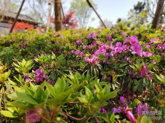 【Galaxy S10系列星粉體驗(yàn)活動(dòng)】一部舒舒服服的手機(jī) 【Galaxy S10系列星粉體驗(yàn)活動(dòng)】一部舒舒服服的手機(jī)