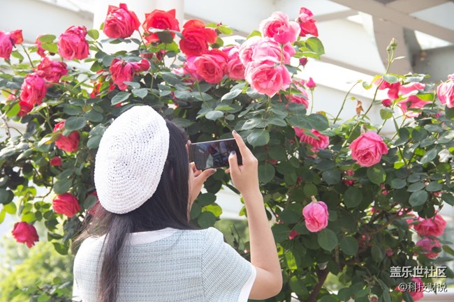 三星Galaxy S10，無法抗拒的魅力，拍照太好用了