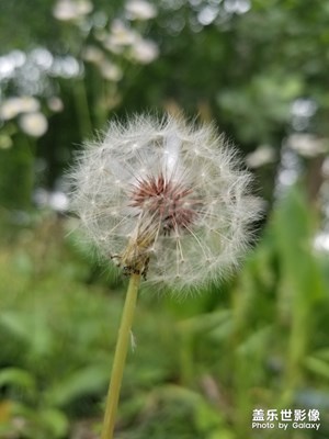 【初夏印象】+渺小不經(jīng)意的