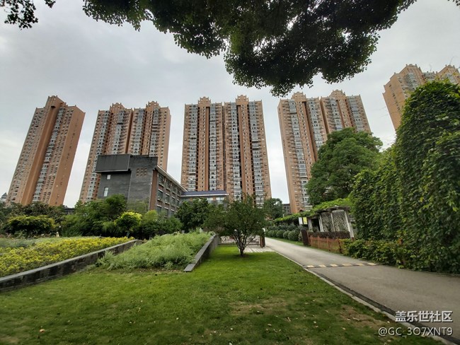 【三星網(wǎng)上商城A系列新品曬單】給新玩具拍個照