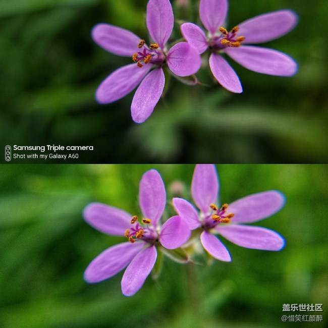 A60元?dú)獍鏀z影比對(duì)測(cè)試