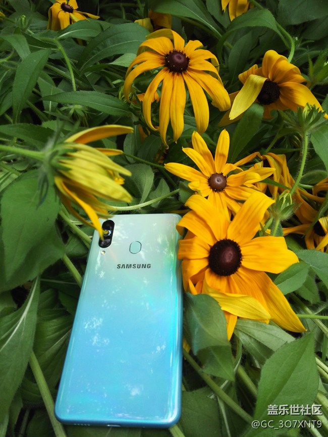 【三星網(wǎng)上商城A系列新品曬單】給新玩具拍個照