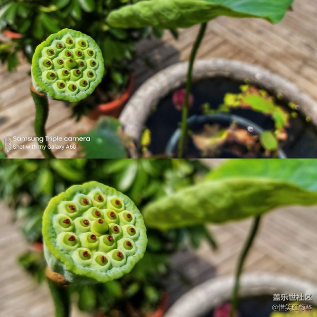 A60元?dú)獍鏀z影比對(duì)測(cè)試