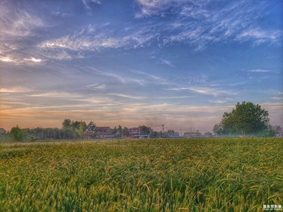 【簡單生活】+準備端午節(jié) 去鄉(xiāng)下摘蘆葉 包粽子用