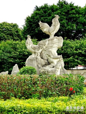 金雞山
