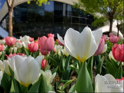 三星S10+深度體驗(yàn)：可能是上半年表現(xiàn)最棒的旗艦機(jī)