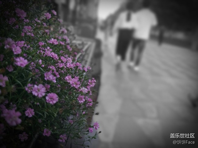 氧氣小仙女和三星Galaxy A60更搭配哦