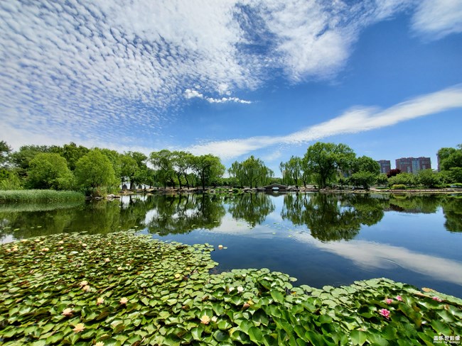 【每周精帖匯149-150】還記得童年快樂的時光嗎？