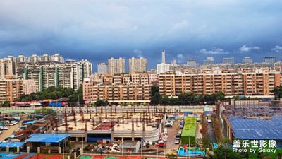 隨手拍