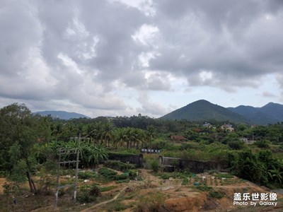 高樓大廈附近的田野