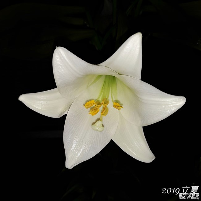 【每周精帖匯149-150】還記得童年快樂的時光嗎？