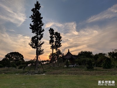今天溫度好高啊，都要熱到爆炸了……
