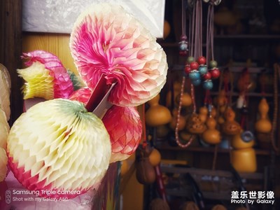 陽光五月