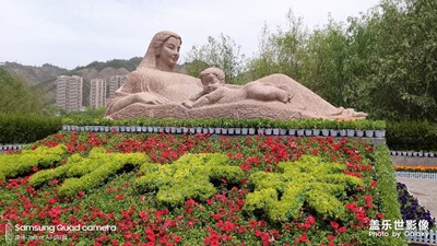 難得糊涂