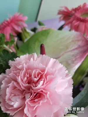花∠※