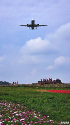 成都雙流【空港花田】游