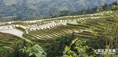 貴陽梯田