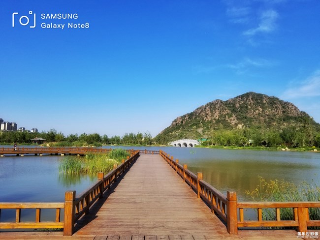 【每周精帖匯149-150】還記得童年快樂的時光嗎？