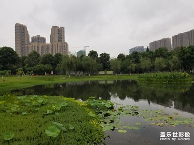 雨后的清早，晨跑路上