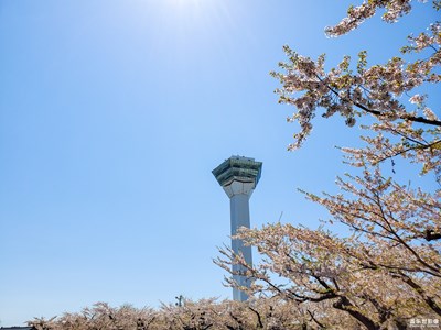 【異鄉(xiāng)】+日本