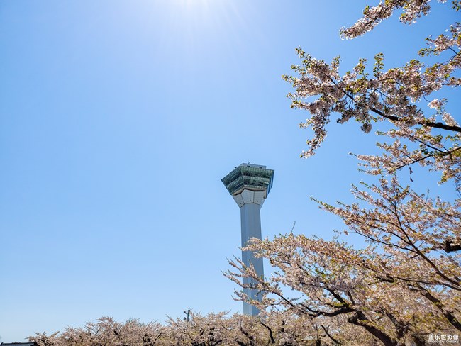 【每周精帖匯149-150】還記得童年快樂的時光嗎？