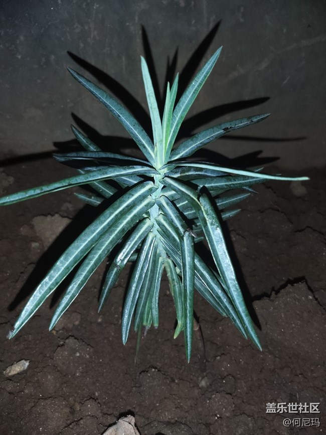 使用三個月的小感受