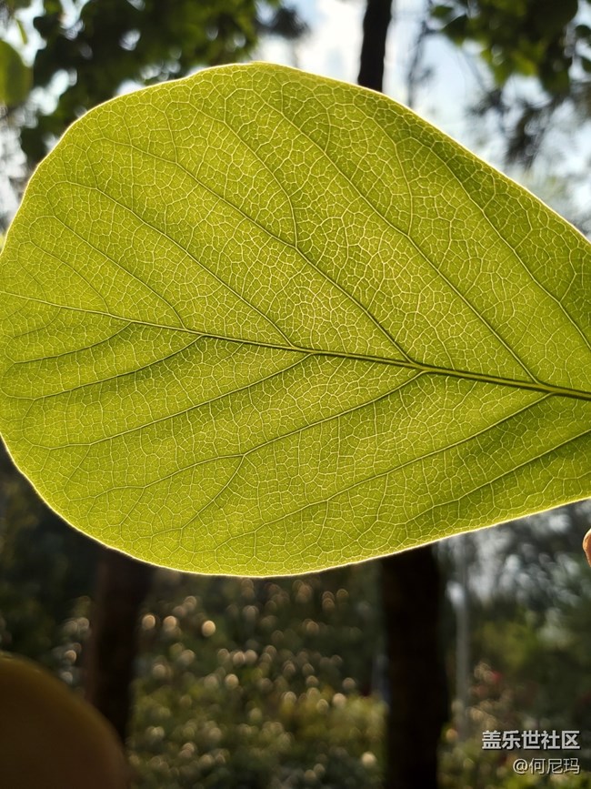 使用三個月的小感受