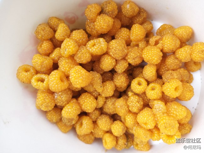 使用三個月的小感受