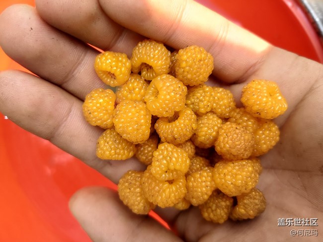 使用三個月的小感受