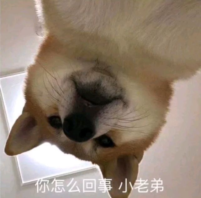 【Galaxy S10系列星粉體驗活動】十代的精心準(zhǔn)備